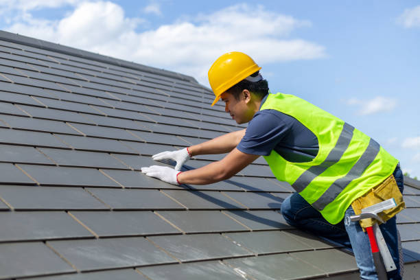 Best Roof Gutter Cleaning  in Maysville, NC