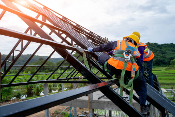 Roof Gutter Cleaning in Maysville, NC