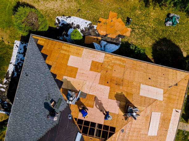 Quick and Trustworthy Emergency Roof Repair Services in Maysville, NC