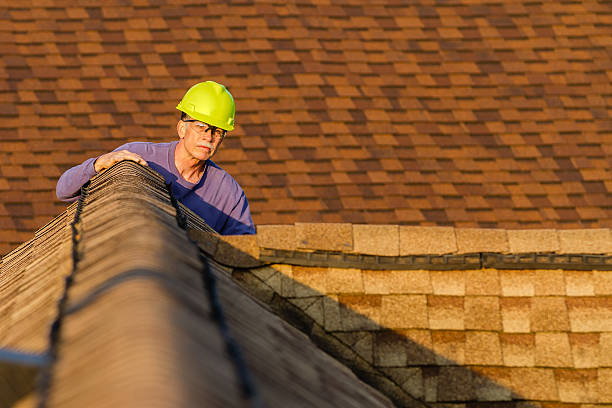 Best Storm Damage Roof Repair  in Maysville, NC
